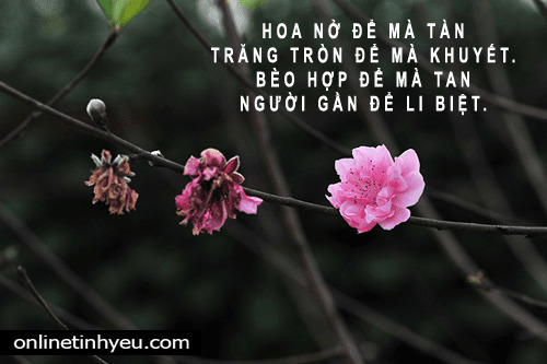 Hoa nở để mà tàn