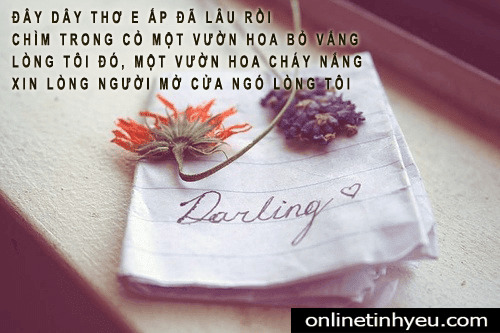 Tặng thơ