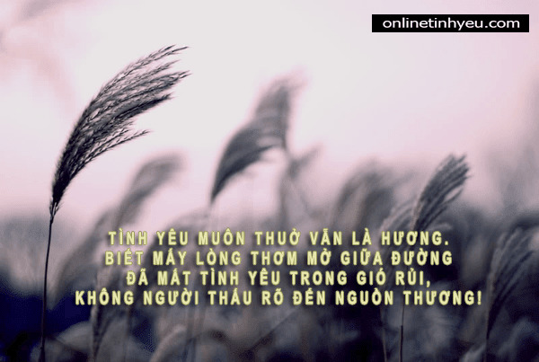 Gởi hương cho gió