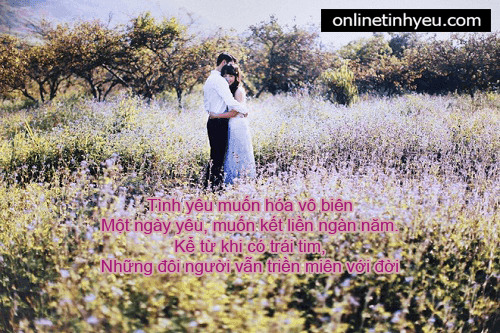 Tình yêu muốn hóa vô biên