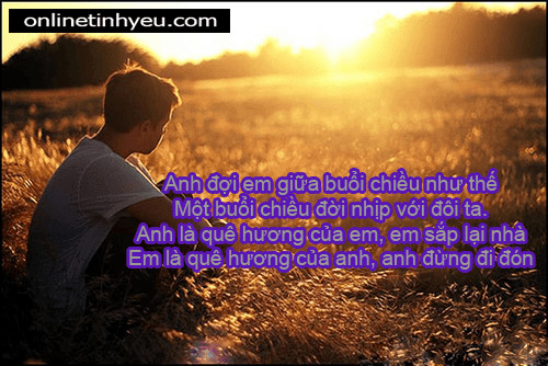 Một buổi chiều