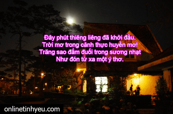 Đà lạt trăng mờ