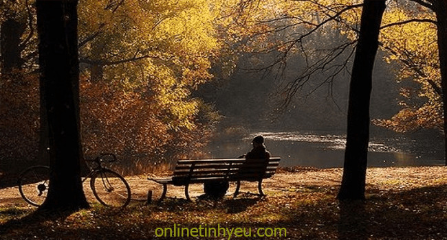 Chiếc ghế đá bệnh viện