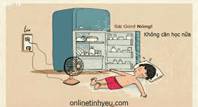 Không cần học nữa