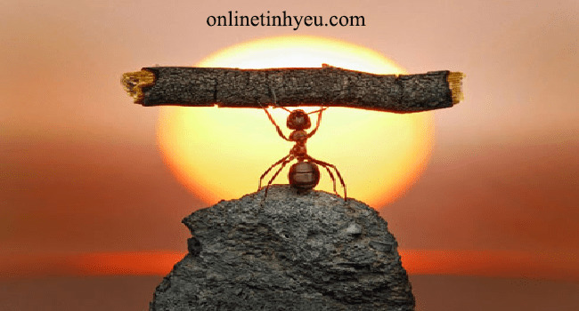 Khiếm khuyết hay lợi thế