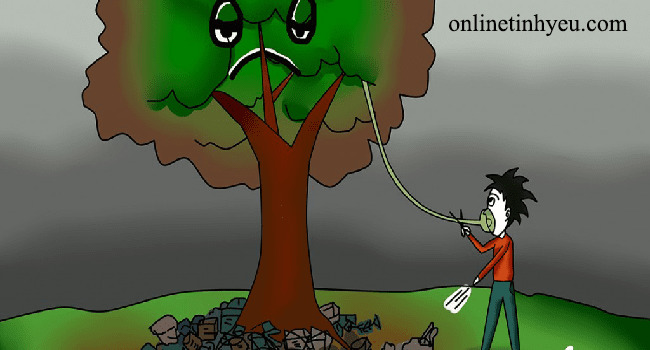 Cây giữ phiền muộn