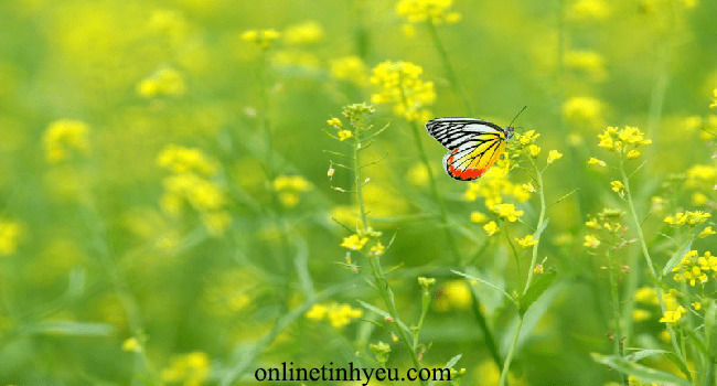 Những điều ko thể thấy bằng đôi mắt