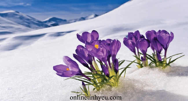 Những lời nói đơn sơ nhỏ bé