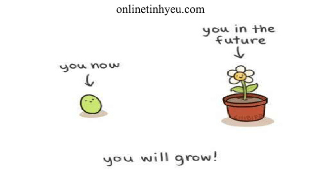 Hạt giống hạnh phúc