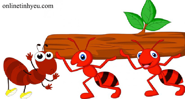 Bài học về loài kiến