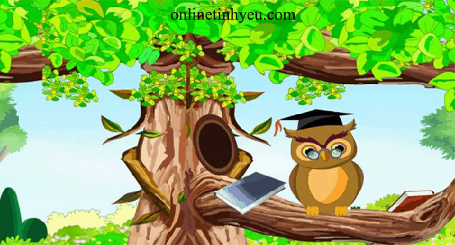 Cú già khôn ngoan