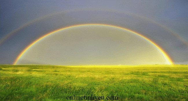 Sắc màu của tình bạn