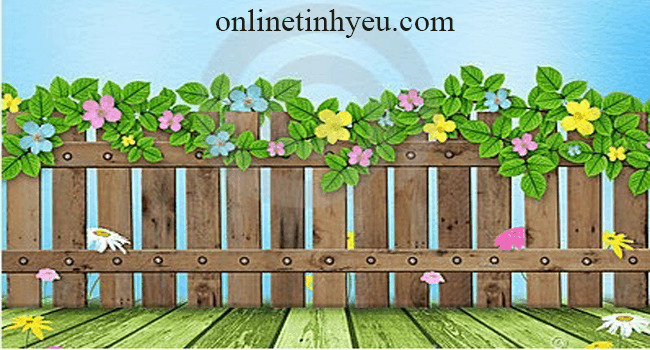 Những vết đinh trên hàng rào