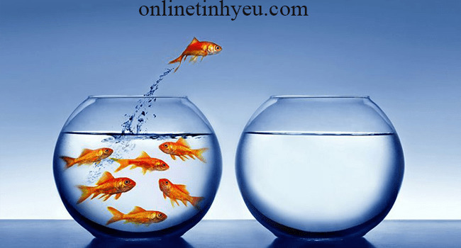 Niềm tin quyết định tương lai