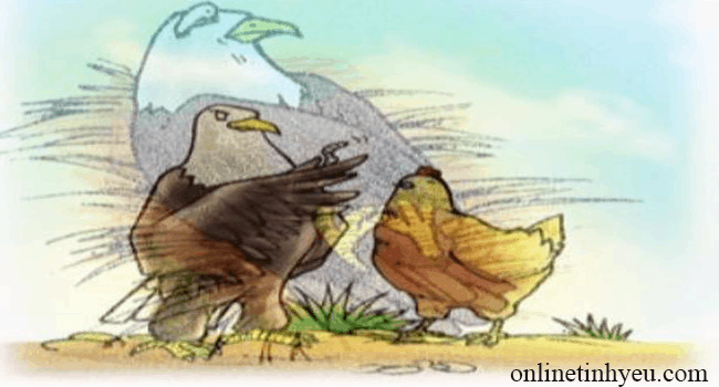 Đại bàng và Gà