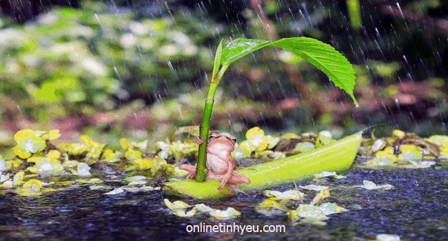 Thay đổi tạo nên sự nhiệm màu