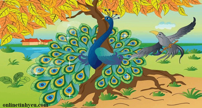 Loại chim nào hạnh phúc nhất