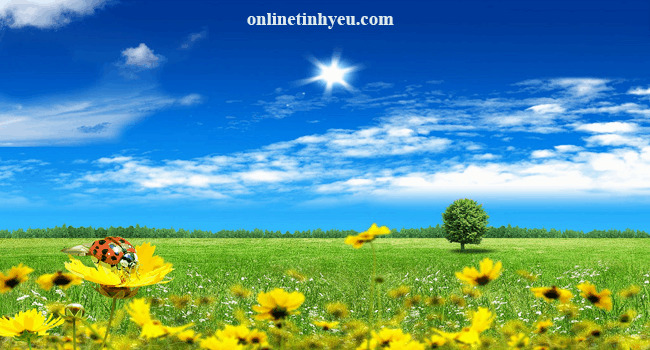 Hãy sống tốt đẹp