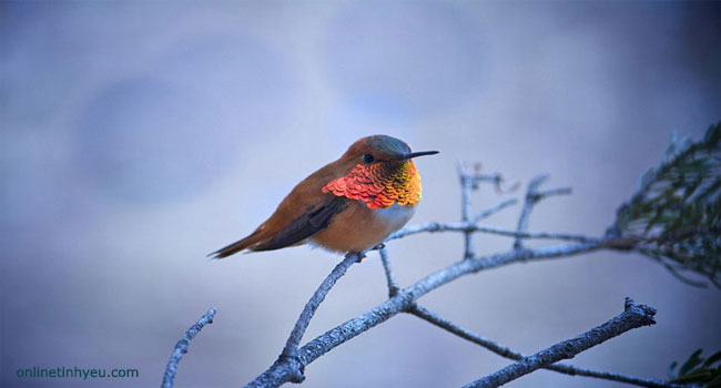 Học cách dựa vào chính mình
