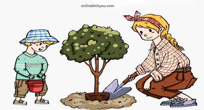 Người phụ nữ cần trồng một cây hoa