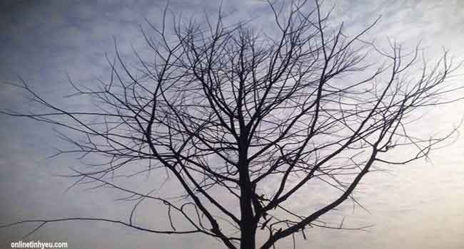 Cuộc sống này vốn đổi thay