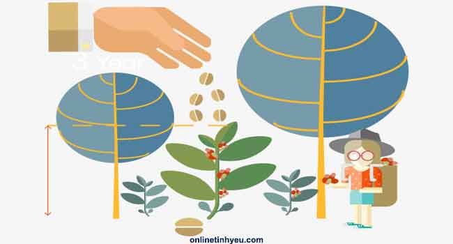 Gieo gì hôm nay, sẽ gặt... vào ngày mai