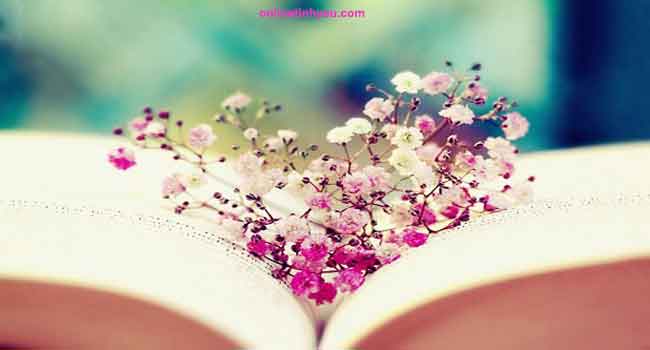 Bốn nguyên tắc vàng trong cuộc sống