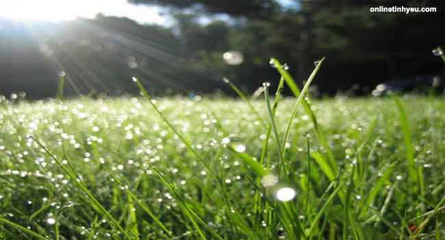 Cuộc sống không dễ dàng