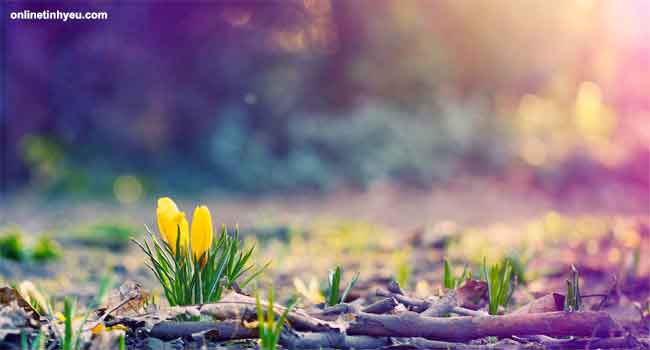 Điều phục thói quen xấu