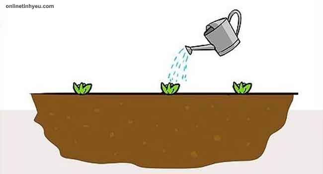 Gieo nhân nào gặp quả đó