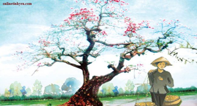 Đợi người khi mùa hoa gạo nở