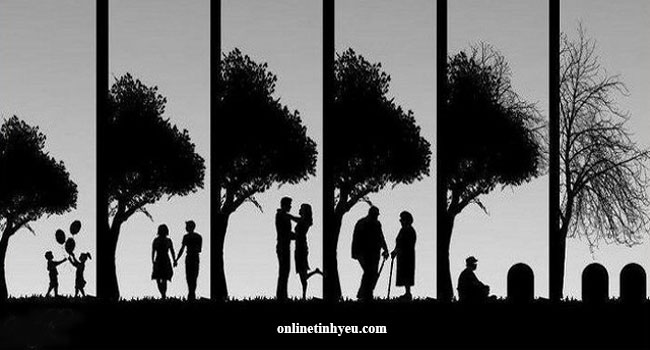 Cuộc sống quá ngắn ngủi