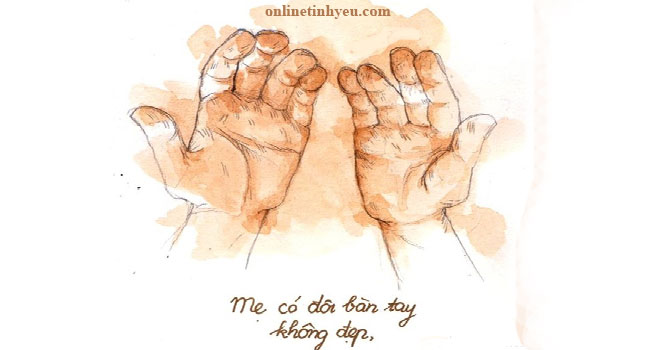 Vết sẹo và chai sạn trên đôi bàn tay mẹ