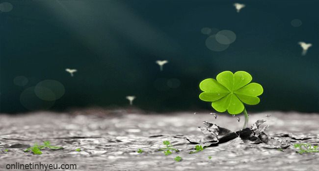 Sự tích cỏ ba lá