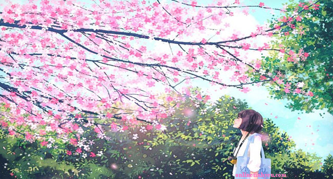 Rồi cũng tới mùa xuân