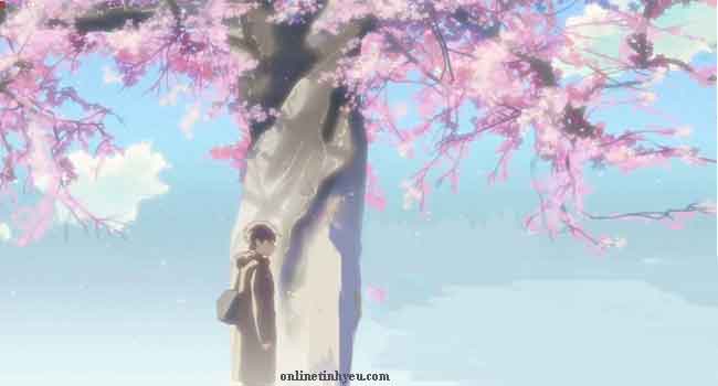 Phố cũ chiều xuân