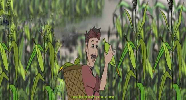 Câu truyện người trồng ngô