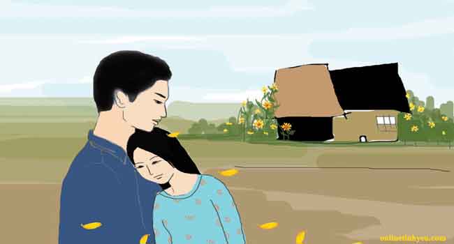 Nơi có hoa dã quỳ