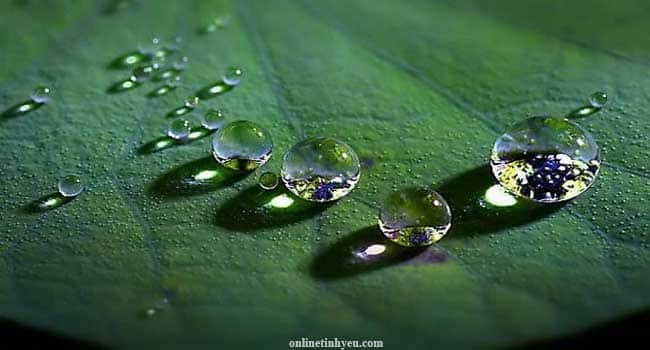 Giọt nước lưu linh