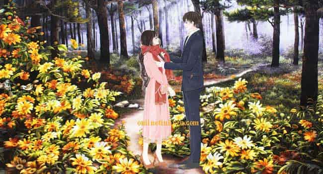 Nhớ mùa hoa dã quỳ