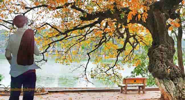 Ngực thu thổn thức