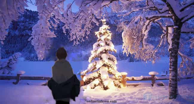 Noel trong đợi chờ