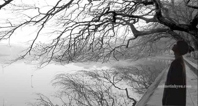 Tâm sự xế chiều