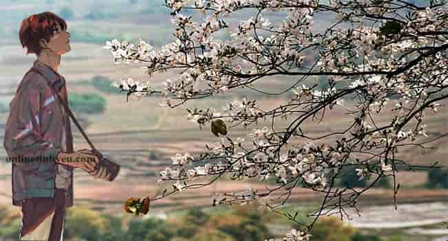 Nỗi nhớ mùa xuân