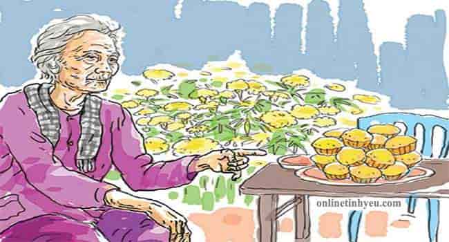 Mẹ mang xuân về