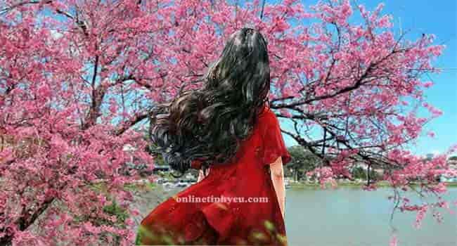 Mùa xuân của Xuyến