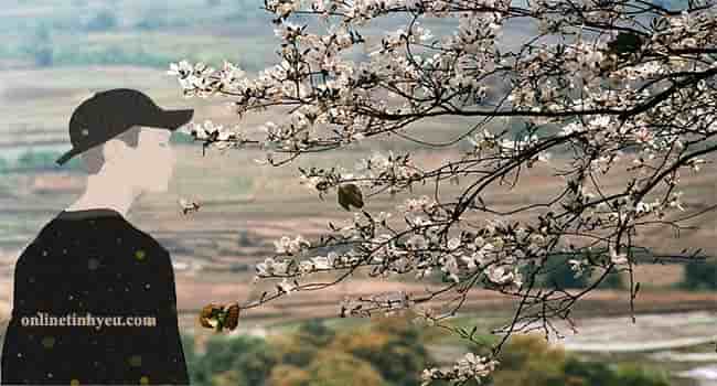 Lỗi hẹn tháng hai