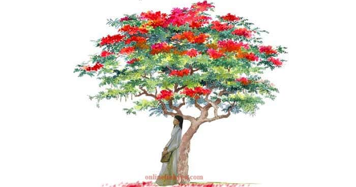 Ký ức tuổi thơ