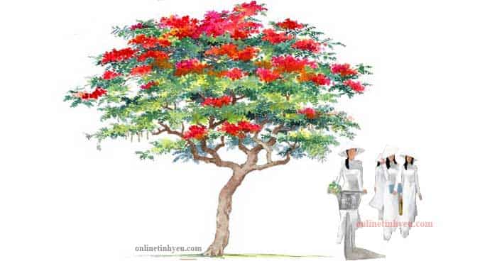 Ta nhớ... chuỗi ngày xa