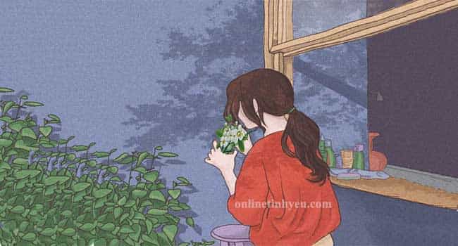 Cây bưởi nở hoa